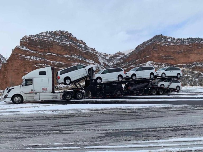 Multiple vehicles on trailer for transport.