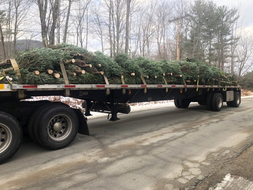 How To Transport Christmas Trees in BulkHeavy Haulers Blog