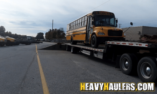 Shipping a school bus on a trailer.